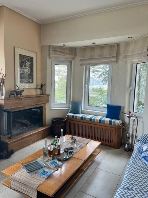 Villa Sul Mare Chalkís エクステリア 写真