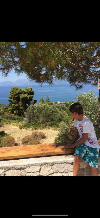 Villa Sul Mare Chalkís エクステリア 写真