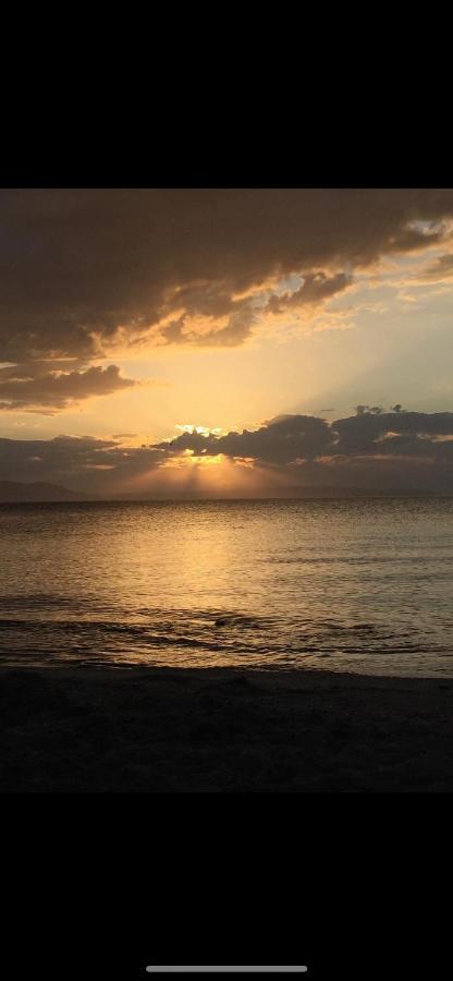 Villa Sul Mare Chalkís エクステリア 写真
