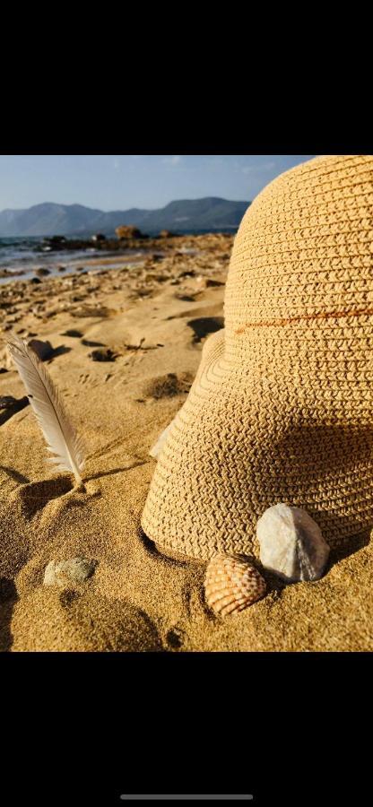 Villa Sul Mare Chalkís エクステリア 写真